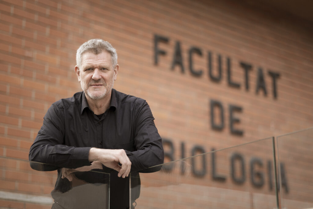david bueno ponente